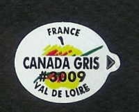 CANADA GRIS - Stick pour fruit et légume - Pommes marché français - Modèles val de loire