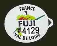 FUJI < 75 mm - Stick pour fruit et légume - Pommes marché français - Modèles val de loire