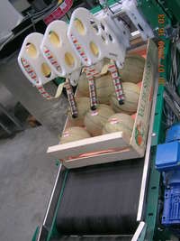 ROBOT - Pince a etiqueter - Robot à sticker les fruits