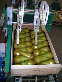 ROBOT - Pince a etiqueter - Robot à sticker les fruits