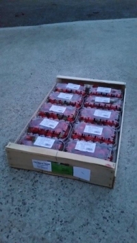BARQUETTE 500 g EN COLIS   - Barquette plastique pour fruits - Barquettes fraises 