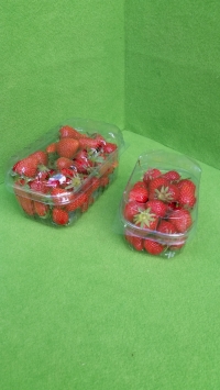 BARQUETTE 250g  AVEC COUVERCLE - Barquette plastique pour fruits - Barquettes fraises 