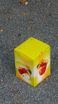 BIB 5 Litres avec impression - Bags in box / bib - Bib jus de pomme imprimé
