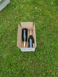 CAISSE DE 2 PAGE -1  - Emballages pour bouteilles - Caisses pour le vin