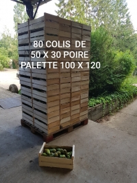 50x30  POIRE CONFERENCE -PAGE-2 - Plateaux bois - Plateaux bois 50x30 cm