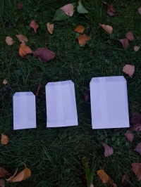 7x12 KRAFT BLANC  - Sac papier - Minis sacs pour semence 