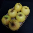 Barquette carton 6 fruits - Photo 20210212_145712=courrier.jpg