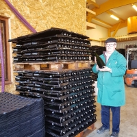 VINPLAST MAGNUM 110 100x120 CHAMPAGNE CREMANT - - Plaque intercalaire pour calage bouteille