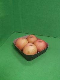 Barquette carton 4 fruits - Boîte sans couvercle