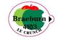 BRAEBURN GROS CALIBRE - Stick pour fruit et légume - Pommes marché français - Modèles export