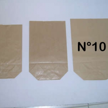 Sac écorné n°10 kraft brun - Photo 376.jpg