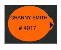 GRANNY SMITH > 75 mm - Sticks fruits - Pommes marché français - Modèles fond orange