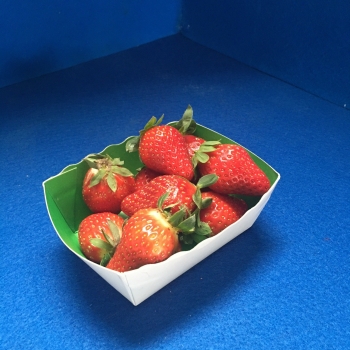 Barquette Carton Primeur 250 g sans anse - Photo barquette_carton_fraise_250g_verte_blanche.jpg