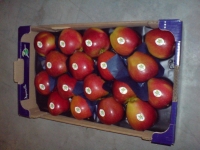 ALVEOLE  PP 90 mm - Alveoles (pp) pommes et fruits ronds - 60x40 pommes et fruits ronds