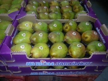 50x30 18 fruits - 1 - Photo pinard=jagny=courrier.jpg