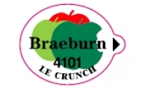BRAEBURN 4101 - Stick pour fruit et légume - Pommes export - Le crunch