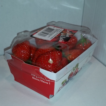 Barquette carton W avec Couvercle 250 g - Photo 2015-04-03_12.35.46_0.jpg