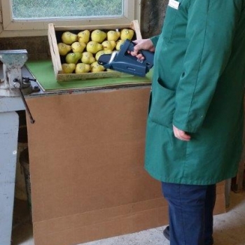 50x30 24 fruits - Photo 2015-09-28_10.21.10=courrier.jpg