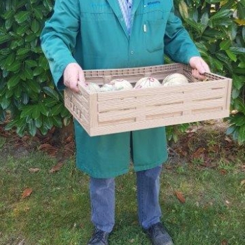 CAISSE PLASTIQUE PLIABLE 60x40x16,3 - Photo 2019-07-13_10.28.34_=courrier.jpg