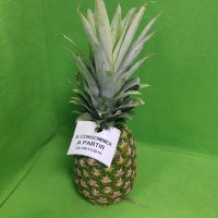 BRACELET  ELASTIQUE  NOIR ANCRE DE 45 - Bracelet plastique pour ancre