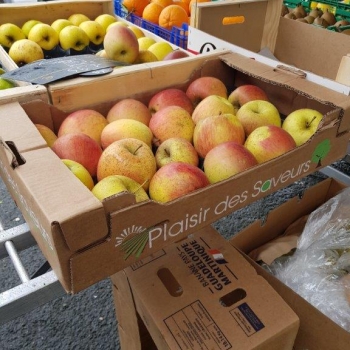 50x30 16 fruits - 1 - Photo 20200208_124242=courrier.jpg