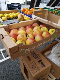 50x30 x  Ø 90    - Alvéole plastique (pp) pomme et fruit rond - 50x30 pommes  et fruits ronds