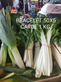 BRACELET VERT  DE 50x5 POUR CARDES OU BLETTES   - Bracelet plastique