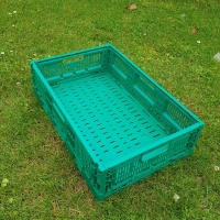 PLIABLE 60x40x13 - Caisse plastique pliable - Caisse pliable verte 60x40