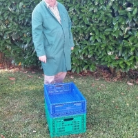 PIABLE 60X40X18 - 1 - Caisse plastique pliable - Caisse pliable verte 60x40