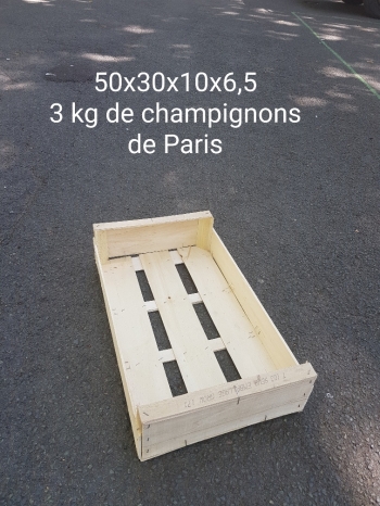 50x30x10x6,5= 3 kg DE CHAMPIGNONS DE PARIS - Photo 20200718_131101_resized(1)_1.jpg