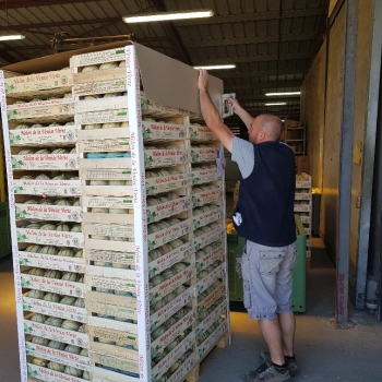 COIFFE 100x120 -PAGE-1 - Photo 20200723_112023_resized.jpg