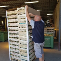 COIFFE 100x120 -PAGE-2 - Dessus de palette ( coiffe ) - Dessus palette 100x120