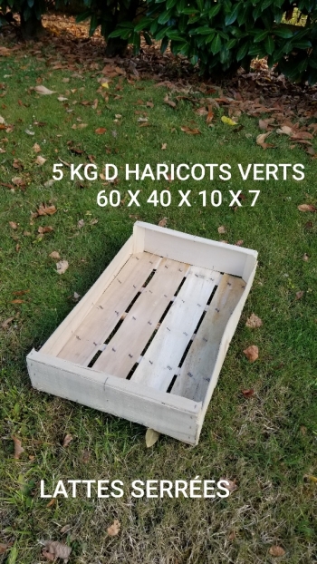 60 x 40 x 10 x 7 = 5 KG D ' HARICOTS VERTS - 2 - Photo 20200815_195201_resized.jpg