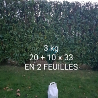 SOS 3 kg BLANC + POIGNEE - 3 - Sac papier - Sac sos sans fenêtre + poignée