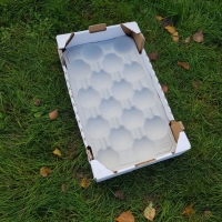 50x30 16 fruits - 2   - Alvéole cellulose pour pomme  - Alvéole en cellulose moulée 50x30 cm