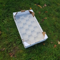 50x30 - 18 fruits - 2 - Alvéole cellulose pour pomme  - Alvéole en cellulose moulée 50x30 cm