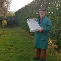 50x30 16 fruits - 4 - Alvéole cellulose pour pomme  - Alvéole en cellulose moulée 50x30 cm