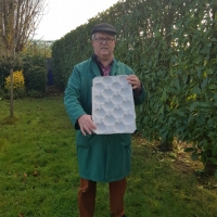 50x30 - 18 fruits - 4 - Alvéole cellulose pour pomme  - Alvéole en cellulose moulée 50x30 cm