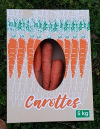 Boite 5 kg carottes - Boîte carottes
