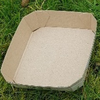 Barquette carton 4 fruits Ecru - Photo 20210212_125956=courrier_0.jpg