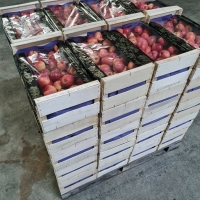 COMPLEXE 50x30 - 3 - Complexe 50x30