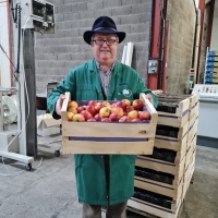 COMPLEXE 50x30 - 1 - Complexe 50x30