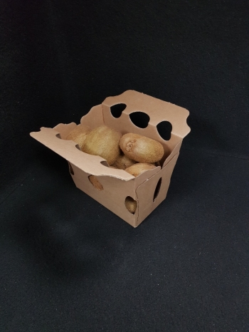 barquette carton 1kg de pomme de terre - 2 - Photo 20220114_113201_resized_1.jpg