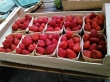 Barquette bois fraise 250 g Neutre - Photo 284_img_=_courrier.jpg
