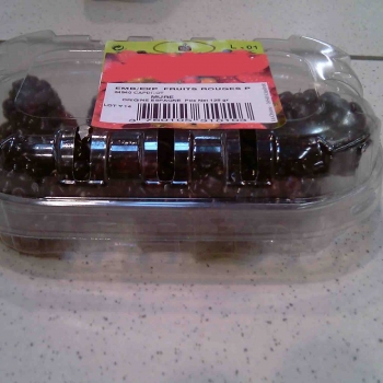 Barquette 125g avec couvercle - Photo barquette_-125g_couvercle_3.jpg