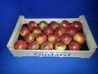 50x30   Ø 80/85 - Alvéole plastique (pp) pomme et fruit rond - 50x30 pommes  et fruits ronds