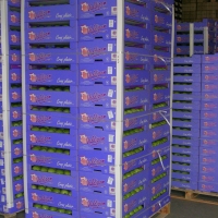 FEUILLARD DE CERCLAGE MANUEL BLANC EN STATION-2 - Feuillard de cerclage - Feuillard manuel - Feuillard   de cerclage manuel