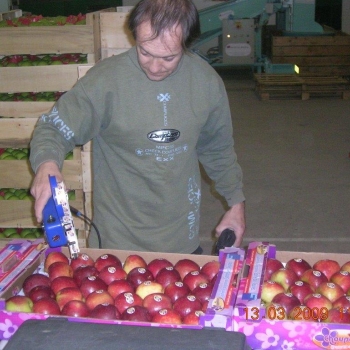 50x30 22 fruits - Photo dscn0359=courrier.jpg