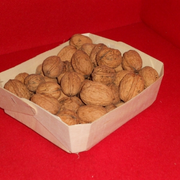 Barquette 1 kg - Photo dscn0454.jpg