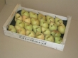 50x30 18 fruits - 1 - Photo dscn2152=courrier.jpg